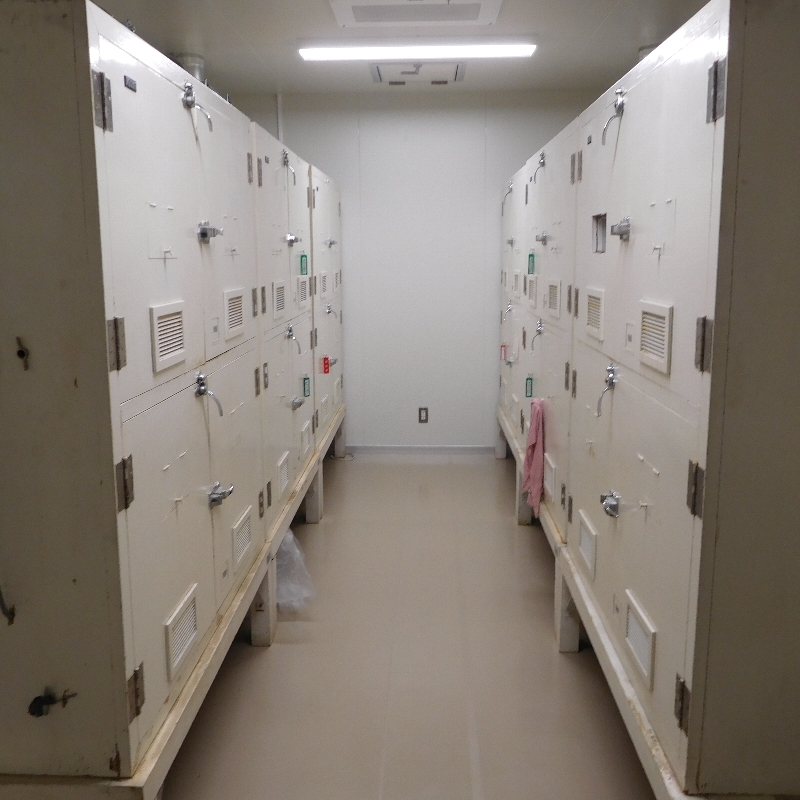 �������{