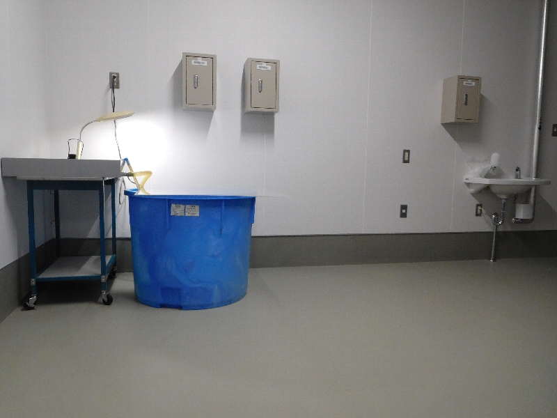 �A�N�A���E��